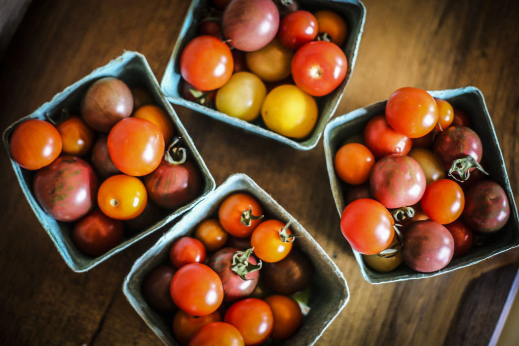 Tomatoes are one of Chef Megan's favourite ingredients to work with.