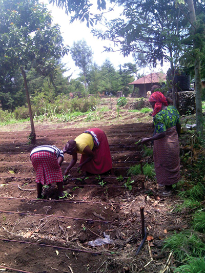 Upendo women working in their garden
