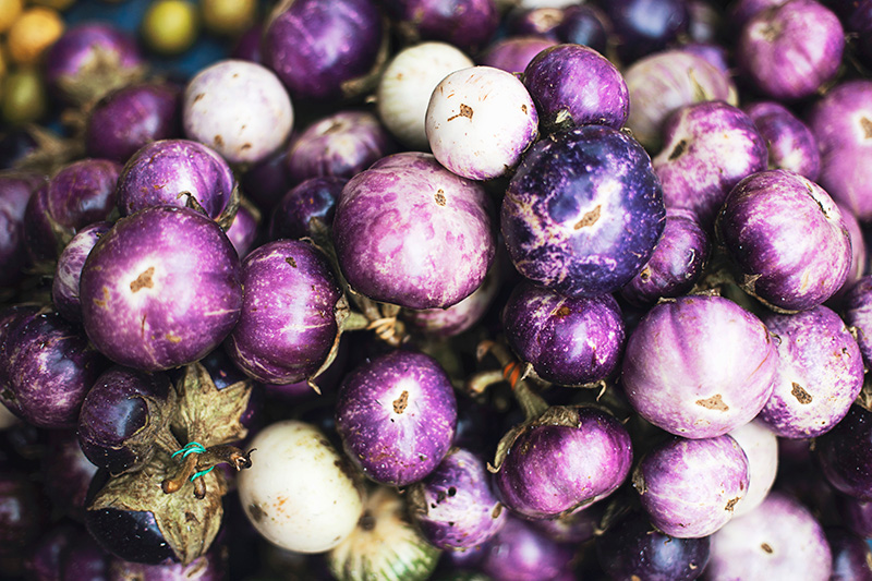 Large bunch of small purple eggplants