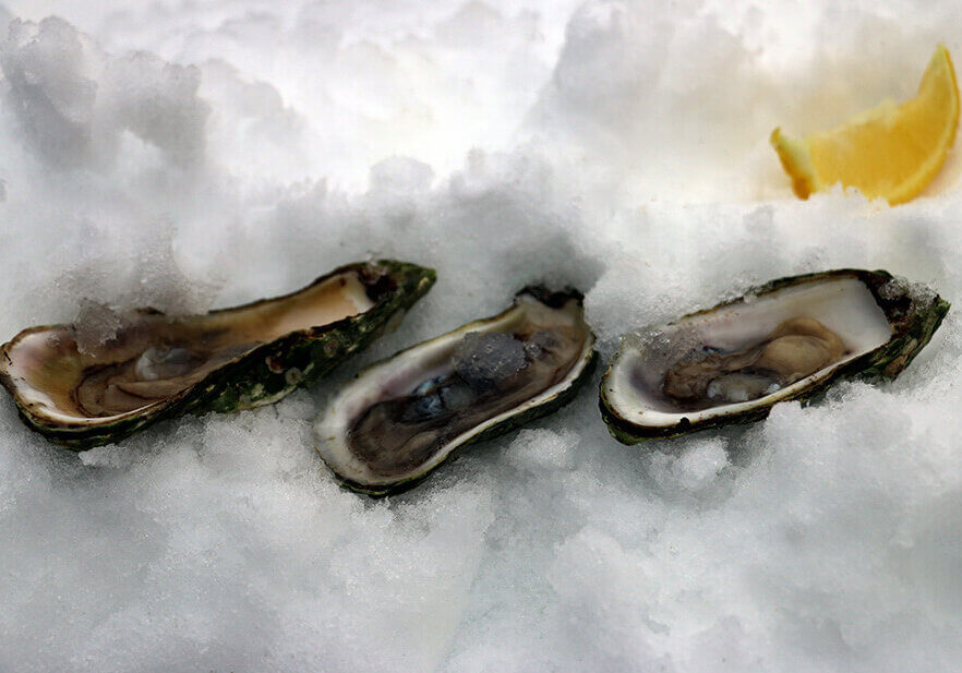 feb1_OysterLove_1