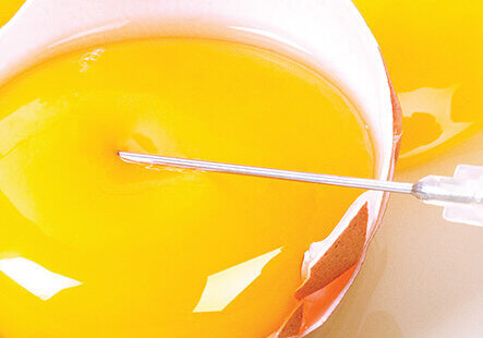 Antimicrobial resistance not limited to prescription overuse in humans