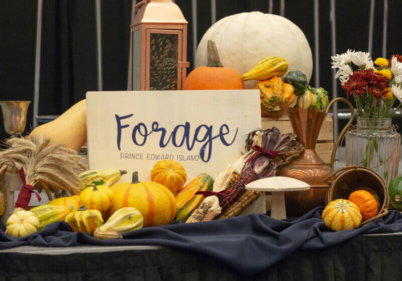 nov2018_forage_1