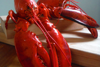 Red cooked lobster displayed on cutting board.