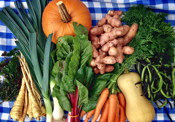 Copy of IMG_6983 (1)webready