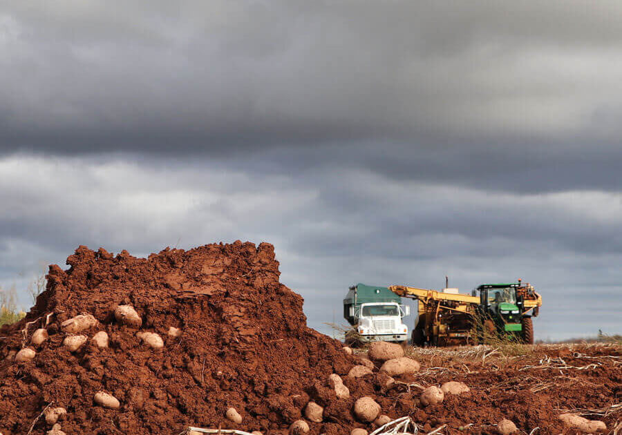 Photo credit: Bryan Maynard