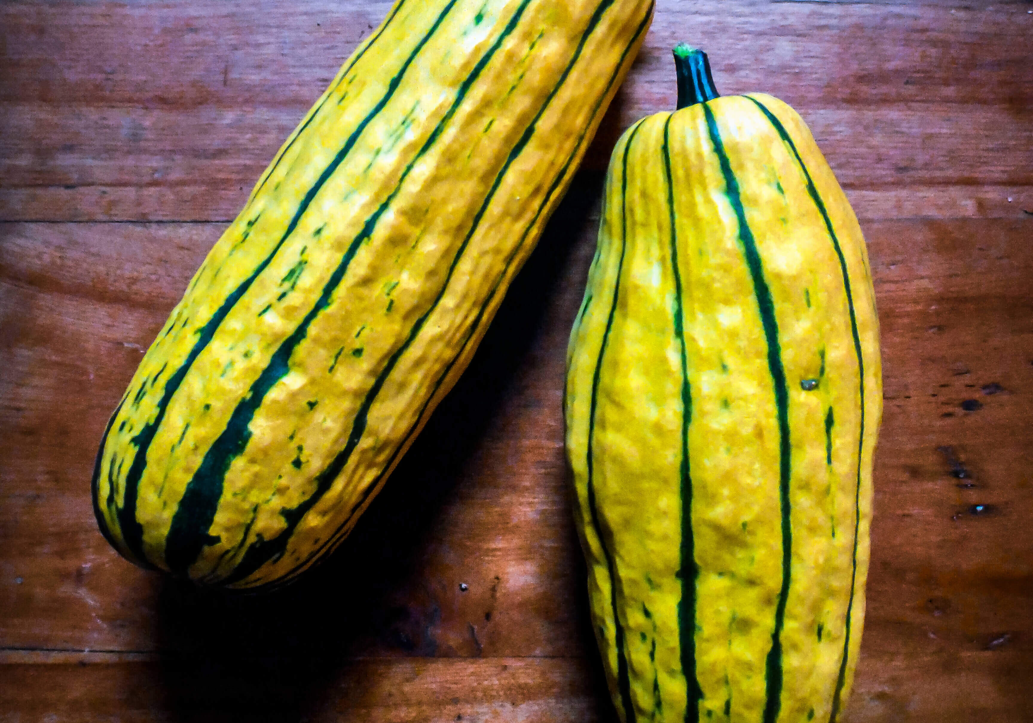 Delicata Squash