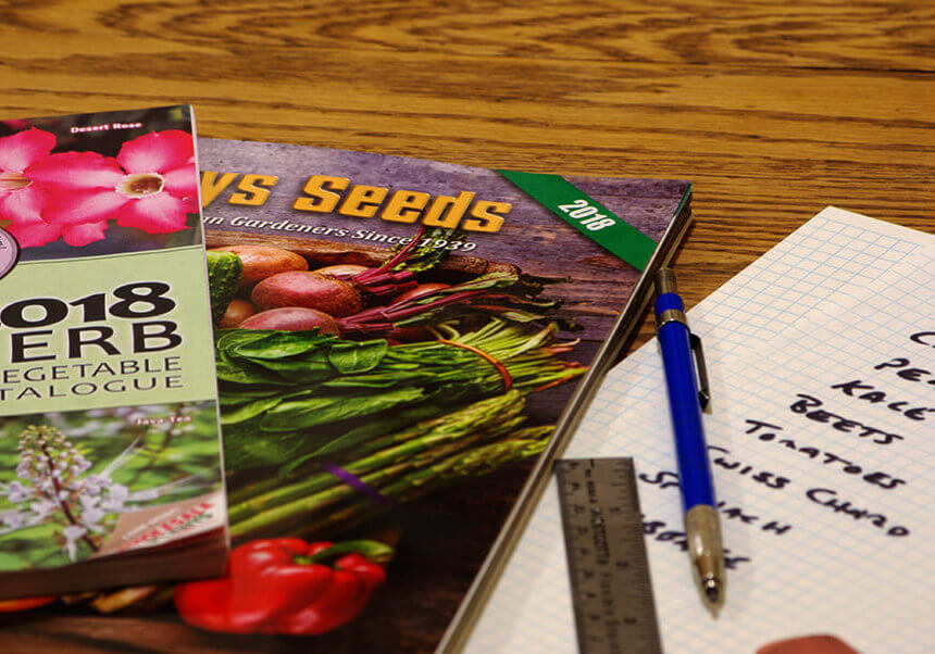 Getting ready for garden planning//Photo credit: Cheryl Young/Salty