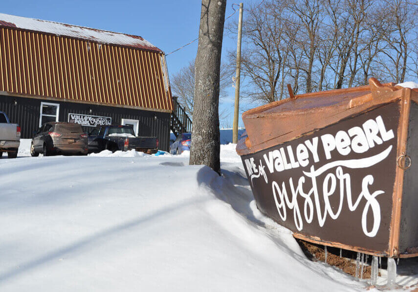 Feb2019_ValleyPearl_2