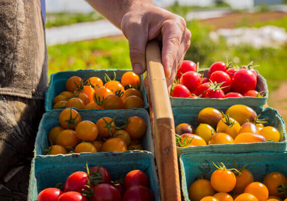 Cherry tomatoes from One Vision Farms. Photo credit: Richard Schroeter/Salty