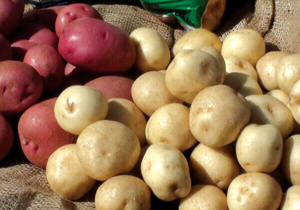 Photo Credit: PEI Potato Board