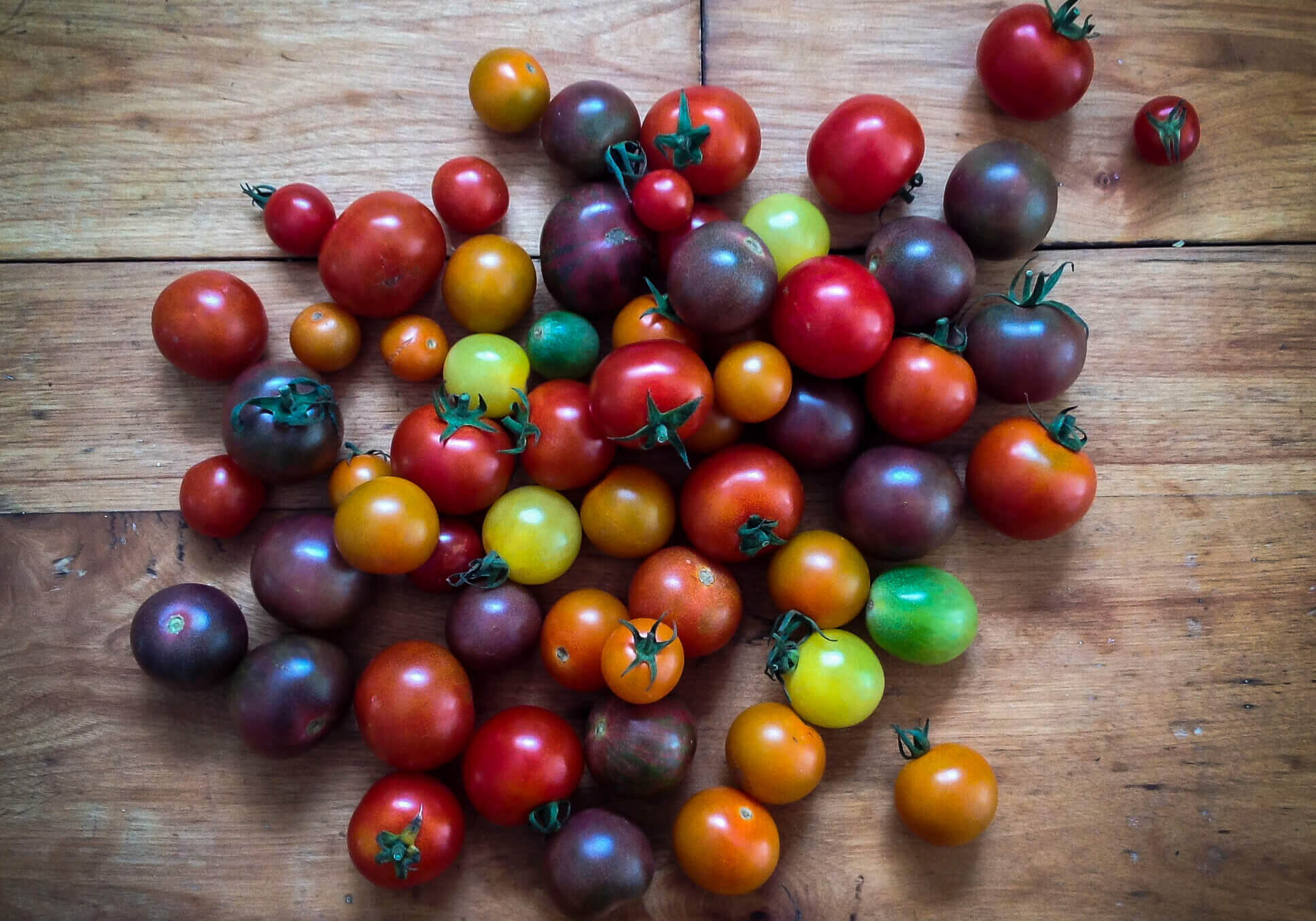 Heirloom Tomatoes