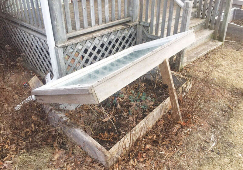 Cold frame//Photo credit: Phil Pierlot