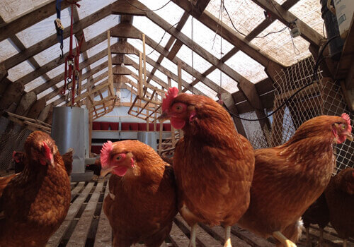 Photo Credit: Katherine Bell