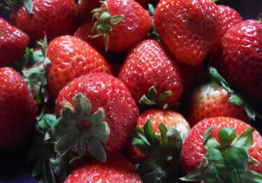 july2017_stawberry_1
