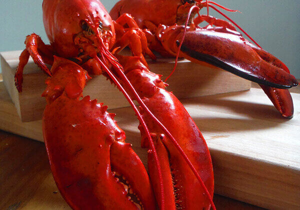 Red cooked lobster displayed on cutting board.