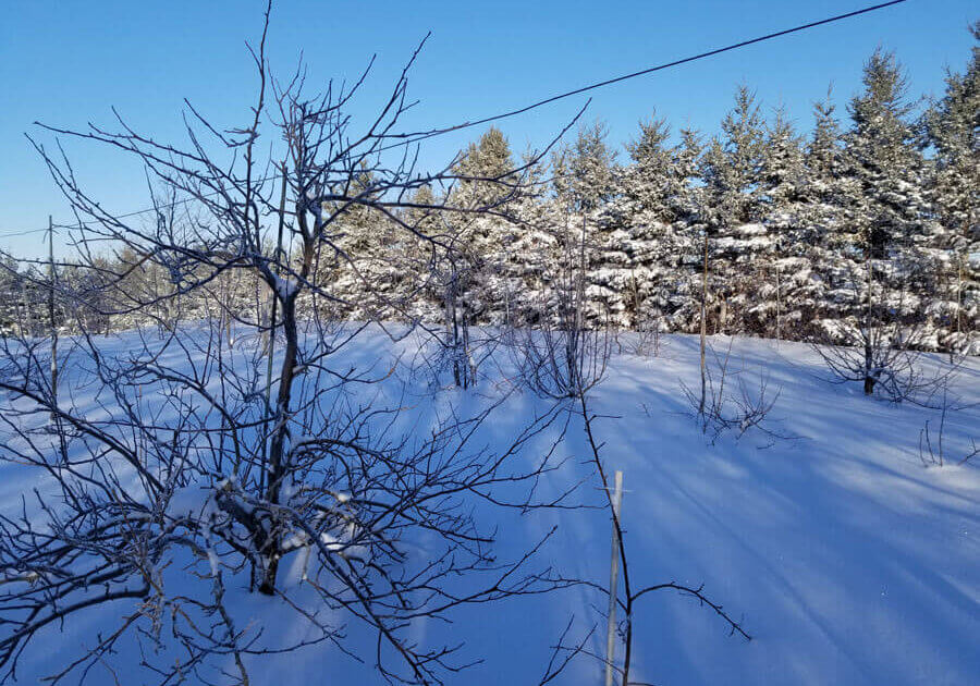 march2019_teg_1