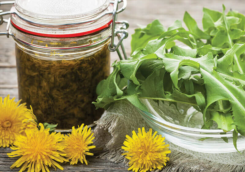 Photo Credit: Elena Elisseeva|Dreamstime.com