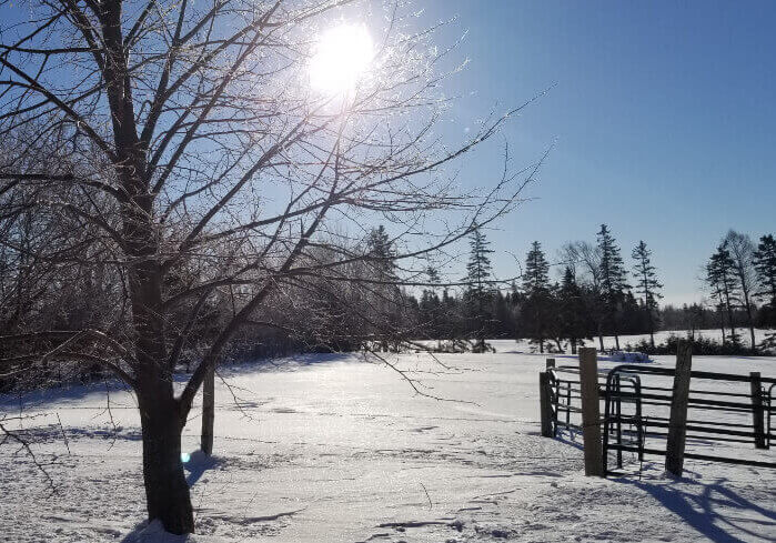 salty_07_edible garden_a